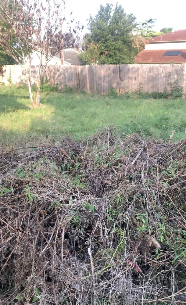 Expert yard cleanup service in Round Rock, TX - Prominent Services