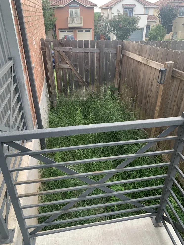 Reliable lawn care service experts serving Round Rock, TX - Prominent Services