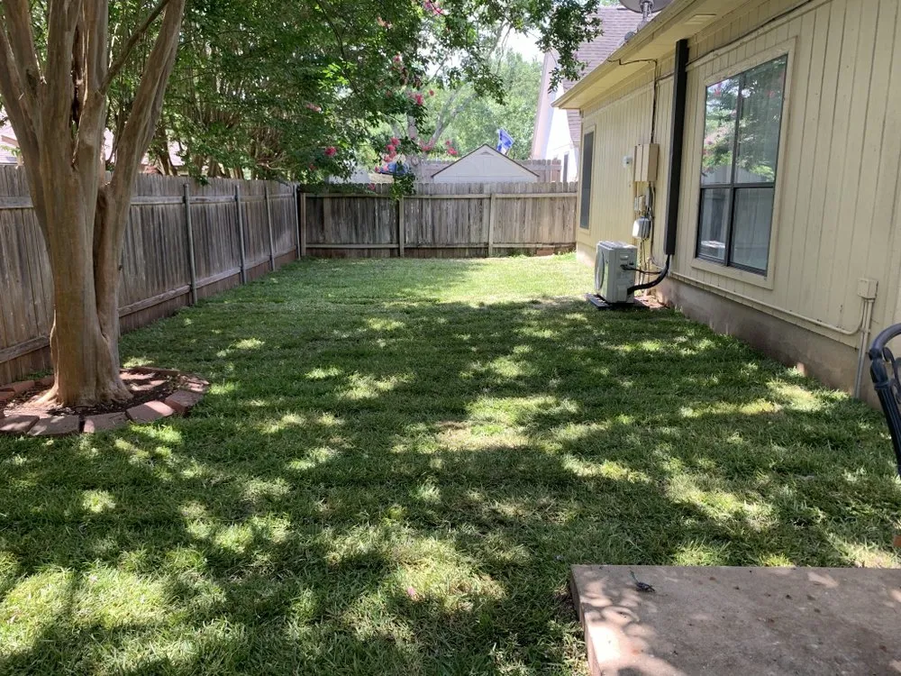 Local landscape design experts serving Round Rock, TX - Prominent Services