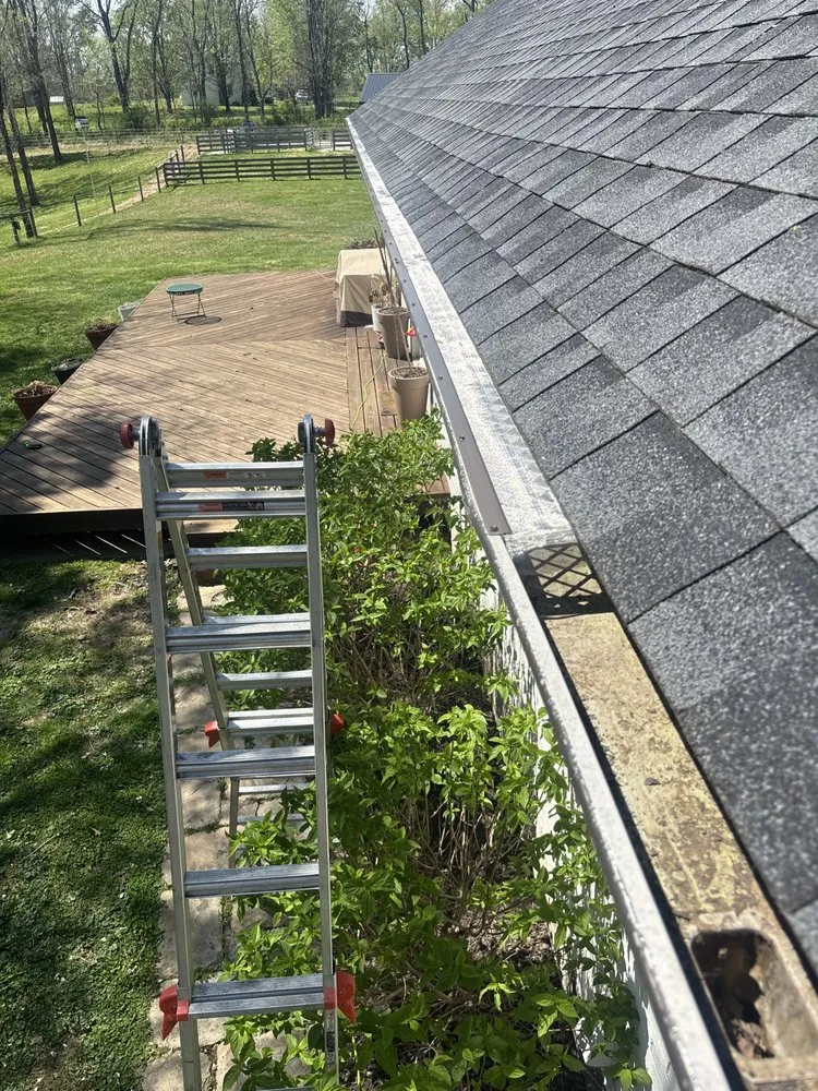 Expert yard cleanup service experts serving Louisville, KY - Prominent Works