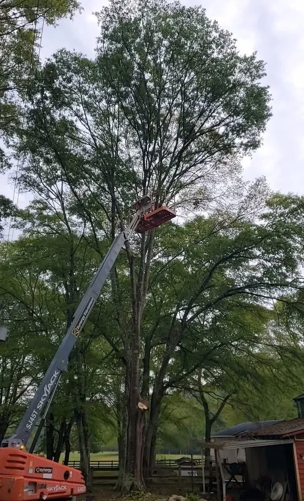 Expert residential landscaping with custom design in Newnan, GA by Promise Land Tree Service