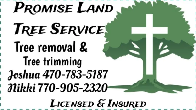 Expert outdoor landscaping experts serving Newnan, GA - Promise Land Tree Service