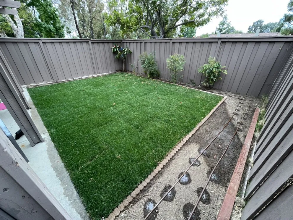 Top-rated yard maintenance for residential properties across Santa Ana, CA - Promise Landscape & Maintenance