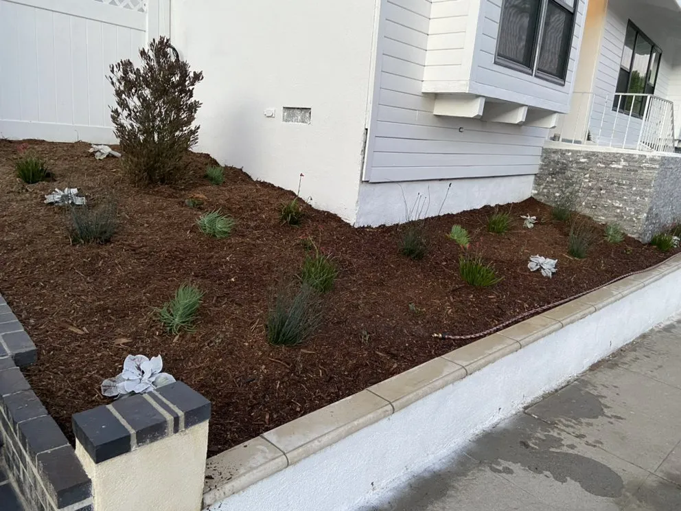 Expert residential landscaping in Santa Ana, CA - Promise Landscape & Maintenance