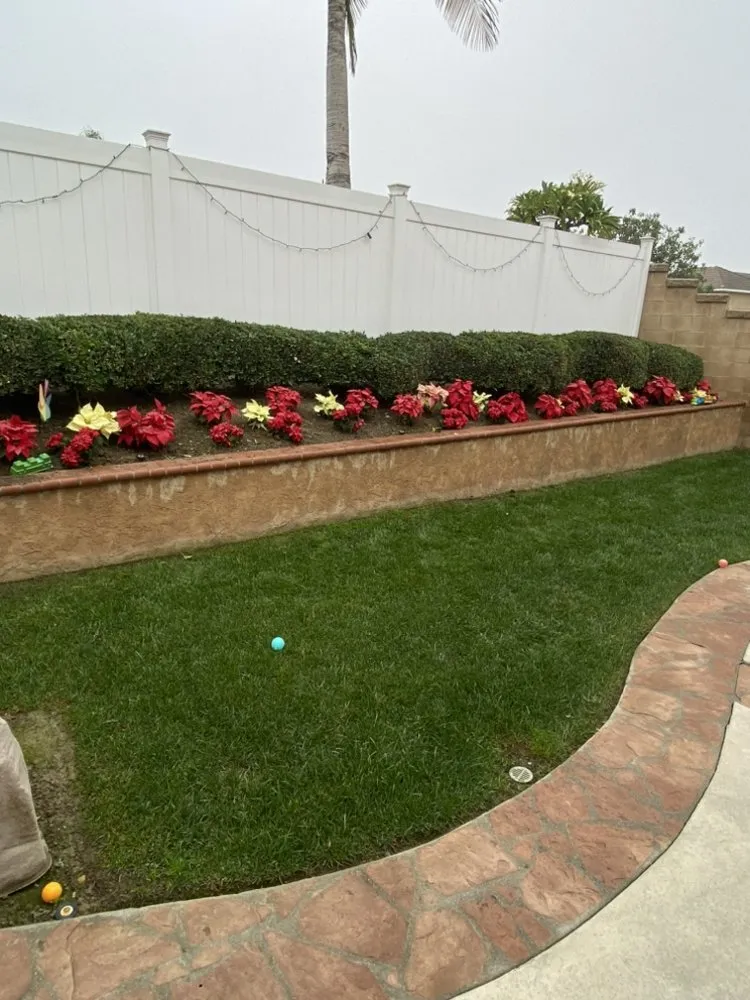 Top-rated garden landscaping for outdoor upgrades across Santa Ana, CA - Promise Landscape & Maintenance