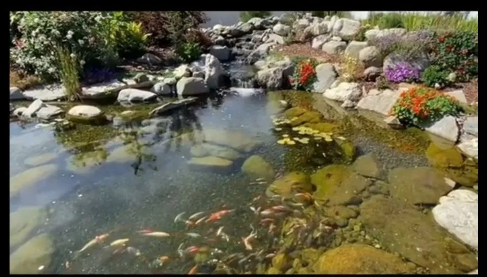 Local landscape installation in Pullman, WA by Promise Landscape