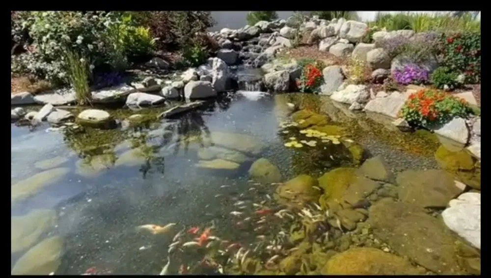 Top-rated garden landscaping in Pullman, WA - Promise Landscape