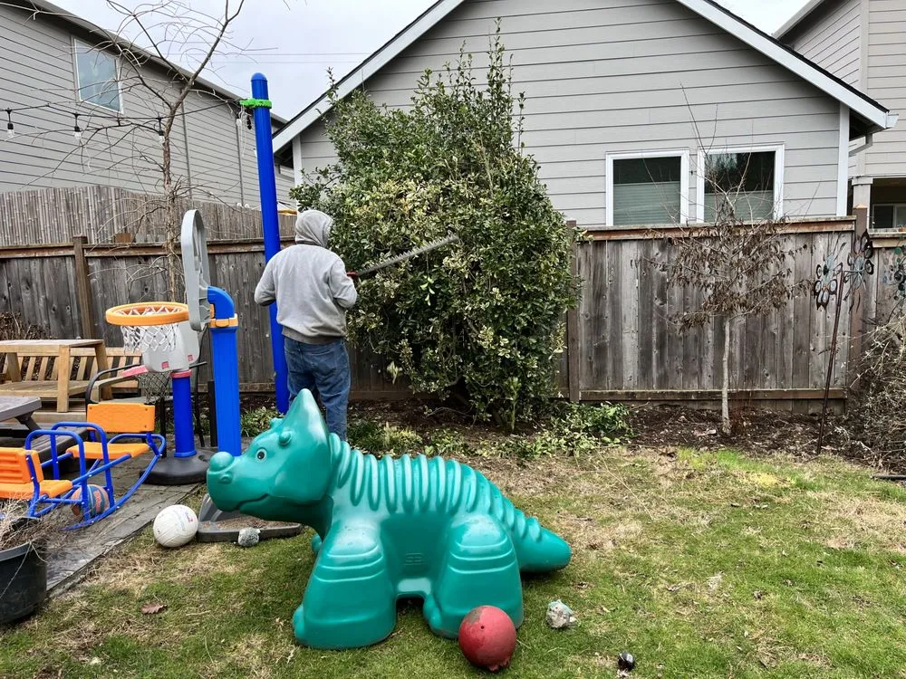 Top-rated landscape design for beautiful yards in Portland, OR by Promise Landscapes