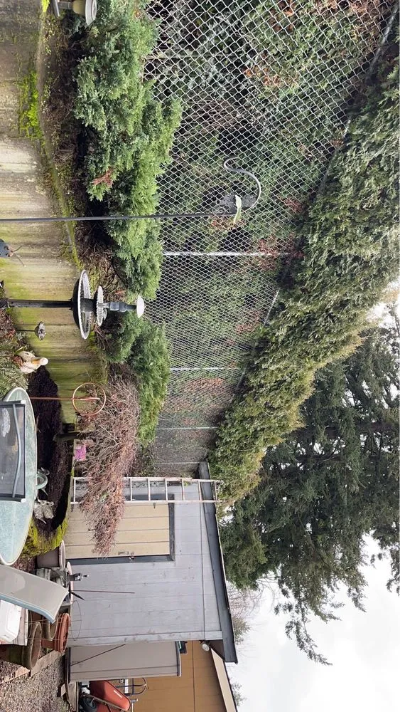 Expert lawn care service for outdoor upgrades across Portland, OR - Promise Landscapes