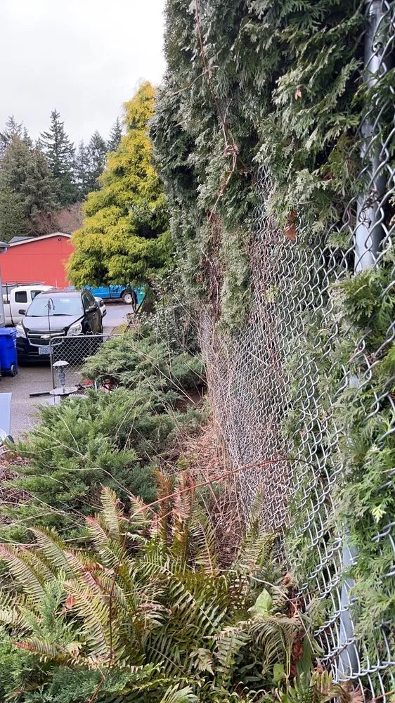 Custom lawn mowing service for year-round maintenance across Portland, OR - Promise Landscapes