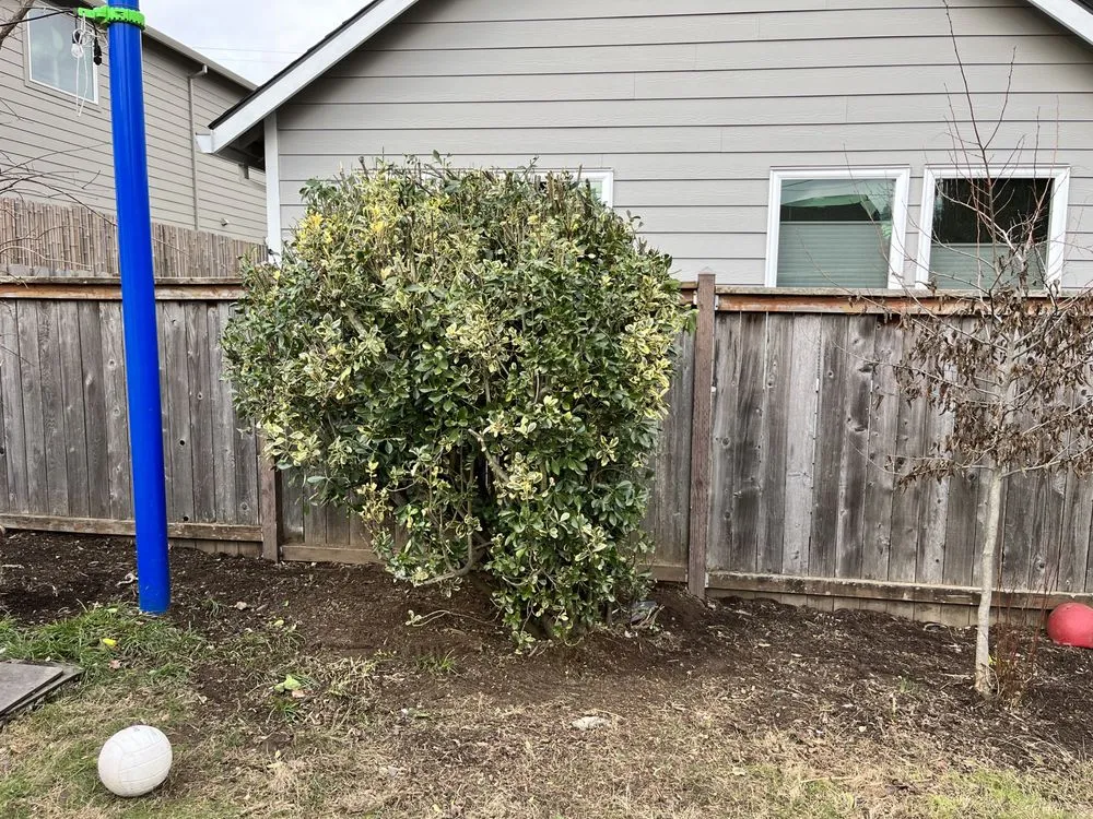 Trusted yard maintenance for beautiful yards across Portland, OR - Promise Landscapes