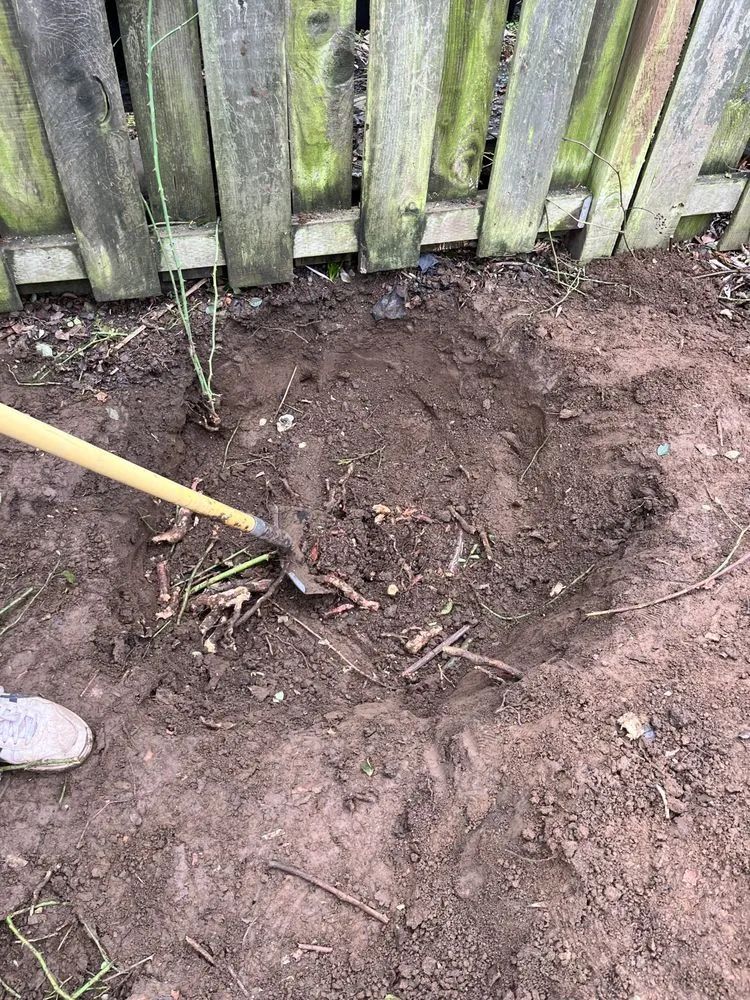 Professional residential landscaping in Portland, OR - Promise Landscapes