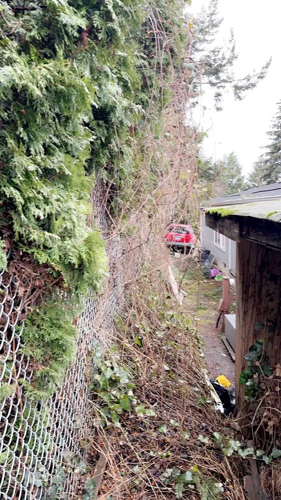 Professional yard cleanup service experts serving Portland, OR - Promise Landscapes