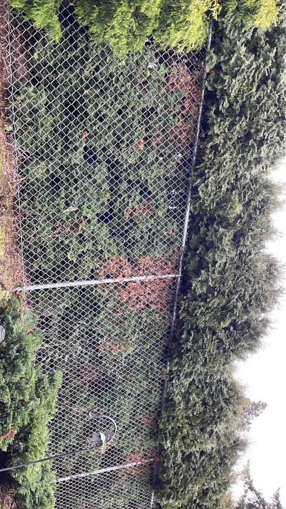 Top-rated yard maintenance in Portland, OR - Promise Landscapes