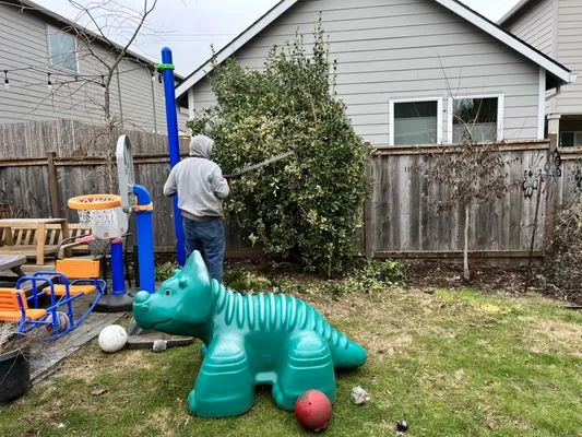 Promise Landscapes Logo