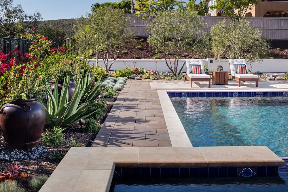 Top-rated yard cleanup service in Chula Vista, CA by Promise Path Landscaping