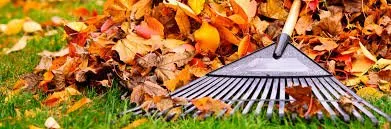 Expert lawn mowing service near you in Somerset, NJ by Promise Tree & Landscape Service