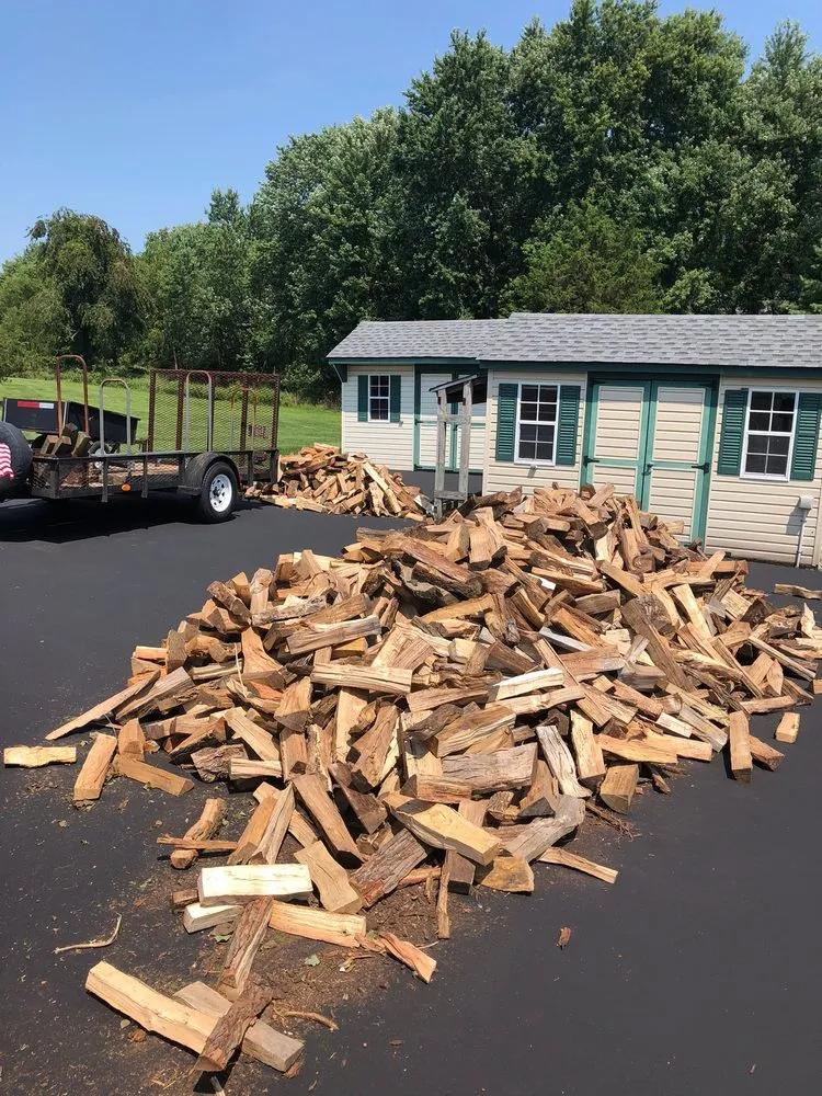 Professional yard maintenance in Somerset, NJ by Promise Tree & Landscape Service