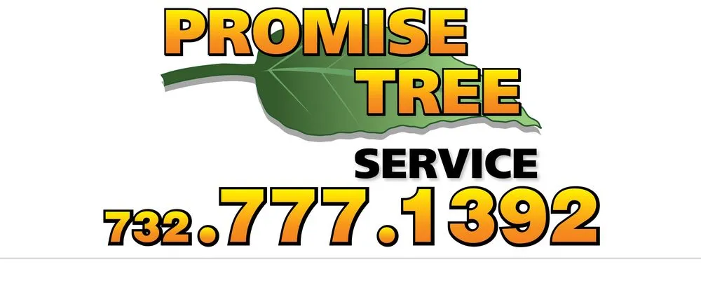 Top-rated garden landscaping in Somerset, NJ by Promise Tree & Landscape Service