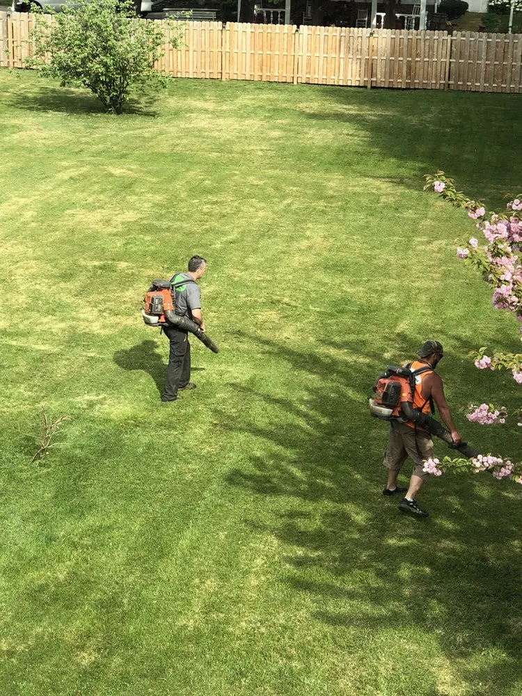 Expert residential landscaping experts serving Somerset, NJ - Promise Tree & Landscape Service