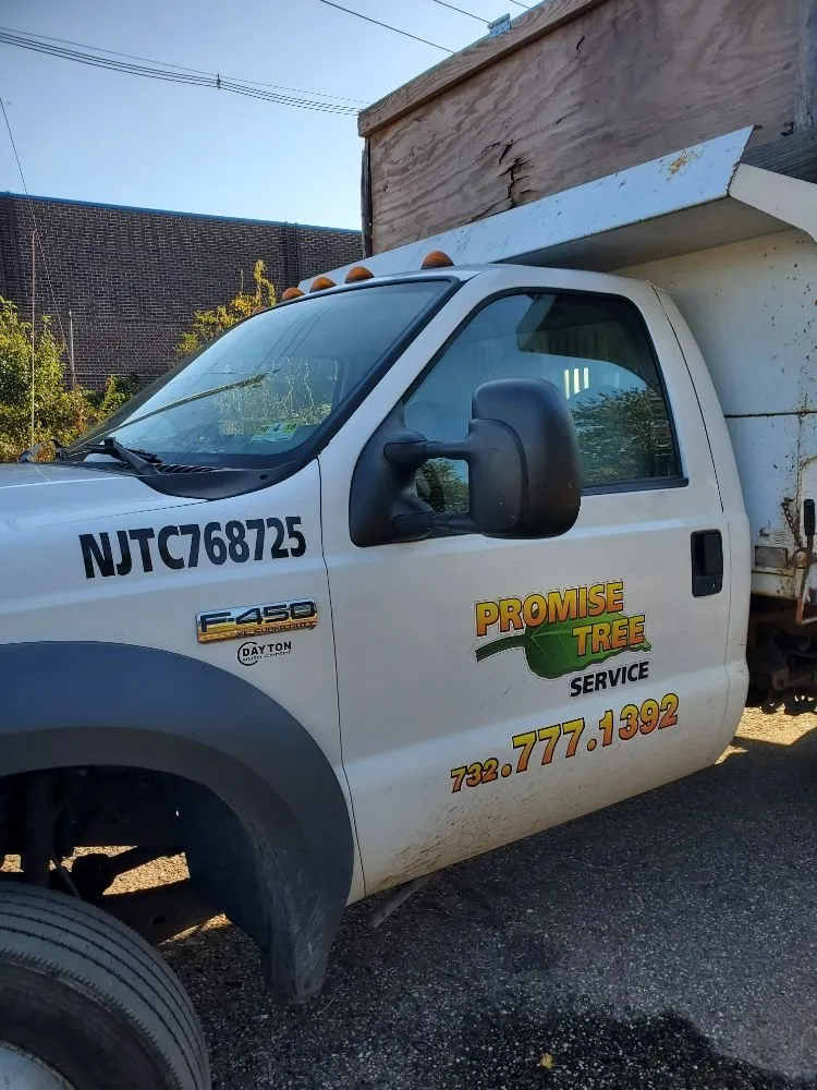 Local landscape design experts serving Somerset, NJ - Promise Tree & Landscape Service