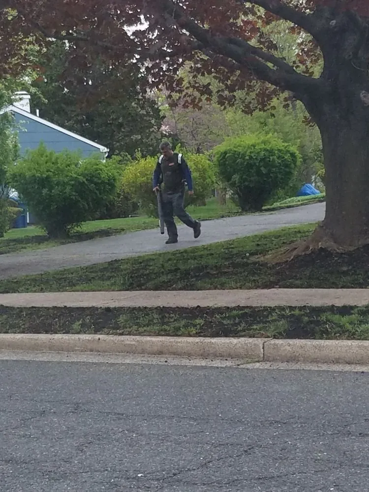 Local yard cleanup service in Somerset, NJ by Promise Tree & Landscape Service