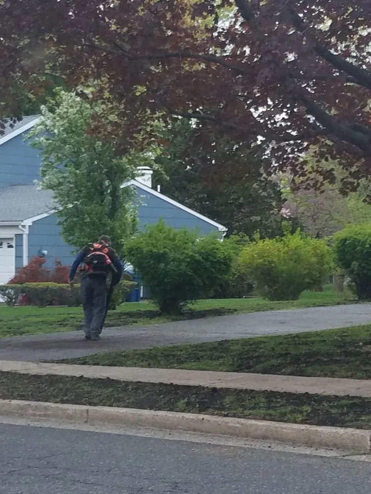 Professional landscape design in Somerset, NJ by Promise Tree & Landscape Service