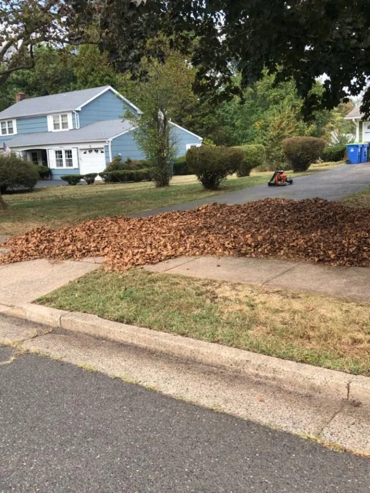 Custom landscaping services in Somerset, NJ - Promise Tree & Landscape Service