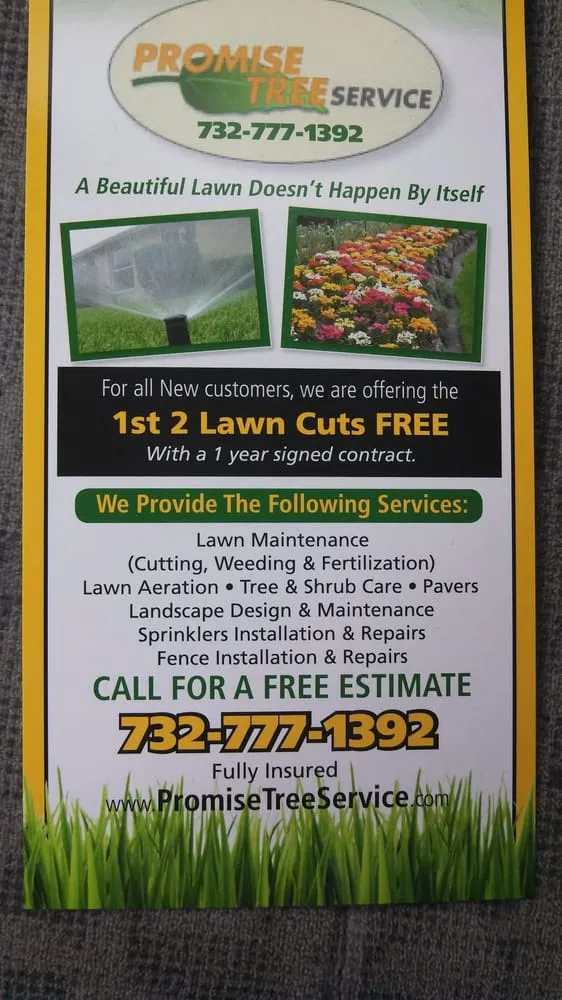 Top-rated landscaping services experts serving Somerset, NJ - Promise Tree & Landscape Service