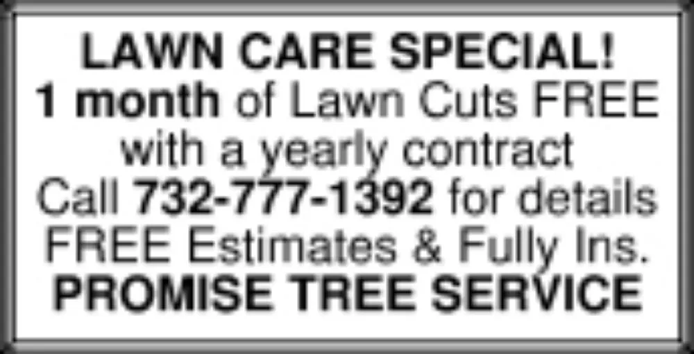 Expert landscape installation in Somerset, NJ by Promise Tree & Landscape Service