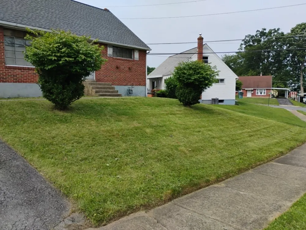 Trusted landscaping services for beautiful yards across Allentown, PA - Promised Land Landscape