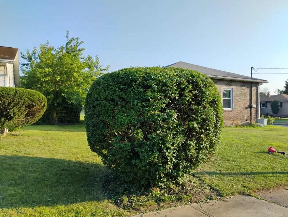 Trusted landscaping services in Allentown, PA by Promised Land Landscape