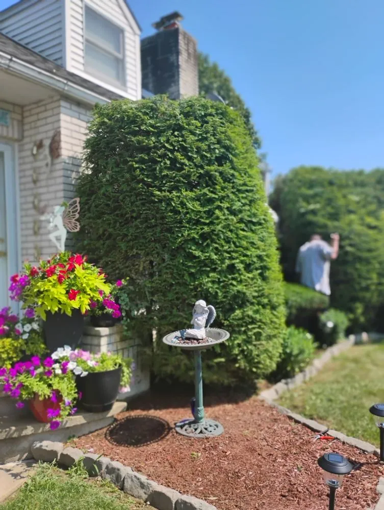 Local residential landscaping in Allentown, PA - Promised Land Landscape