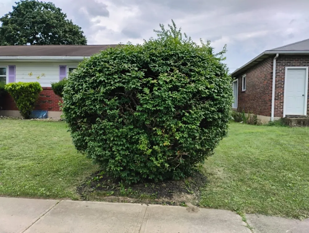 Trusted outdoor landscaping in Allentown, PA by Promised Land Landscape