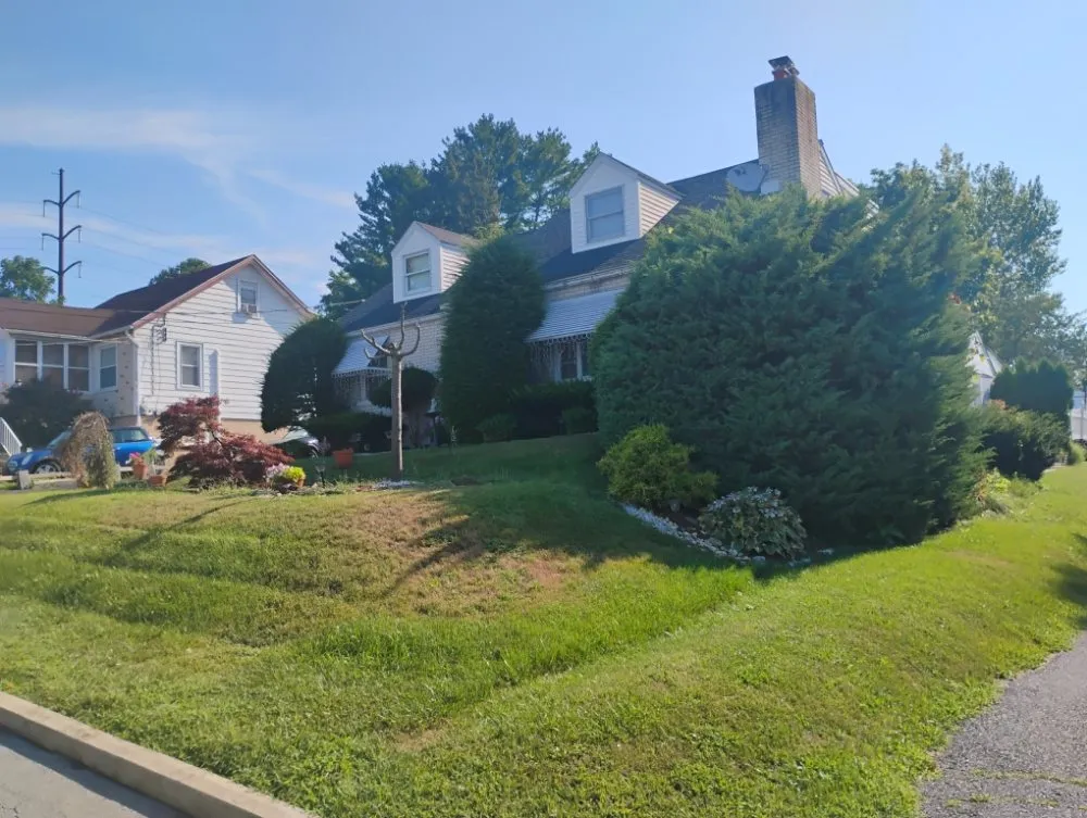 Local yard cleanup service for homes in Allentown, PA by Promised Land Landscape