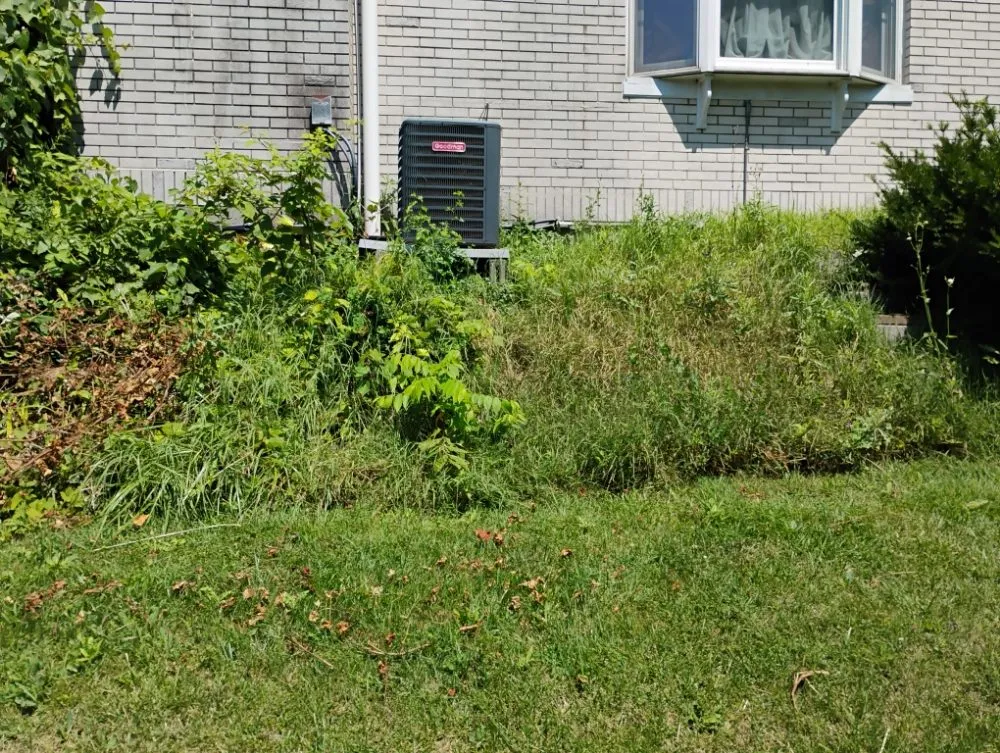 Top-rated landscaping services near you across Allentown, PA - Promised Land Landscape