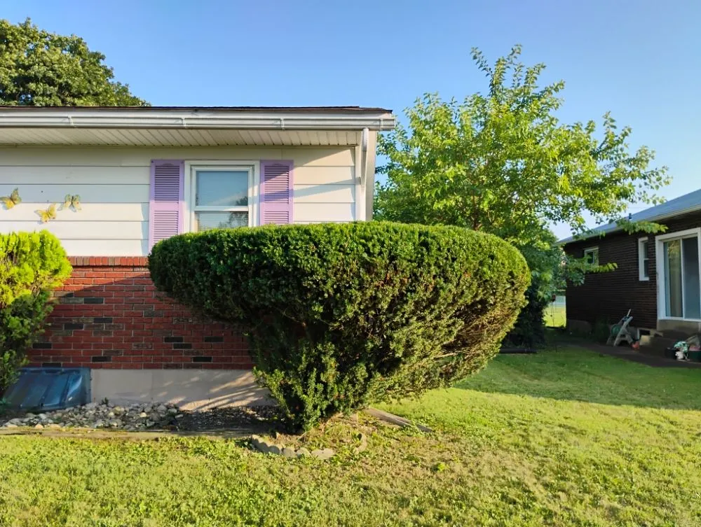 Expert landscape installation experts serving Allentown, PA - Promised Land Landscape