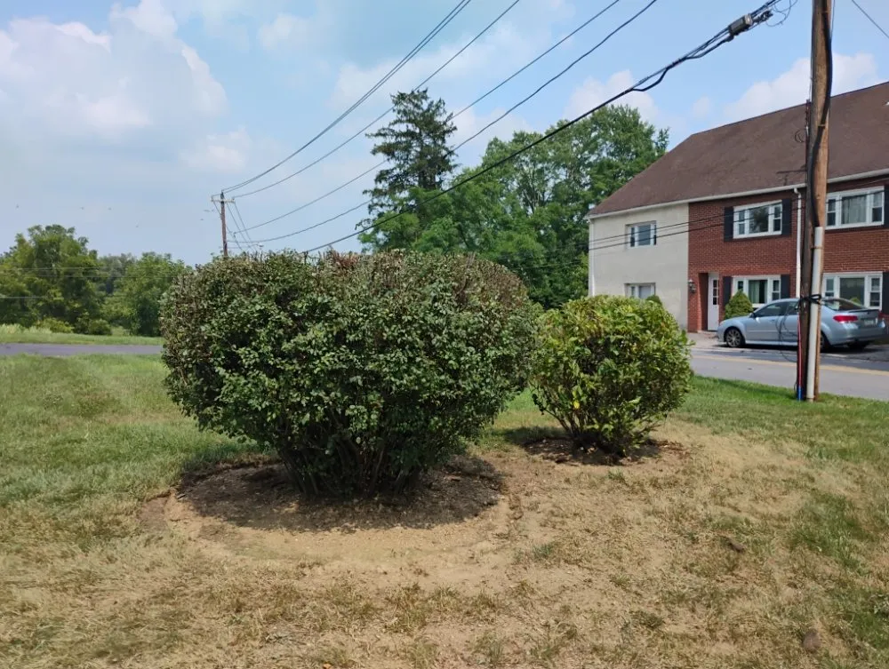 Local landscape design for outdoor upgrades in Allentown, PA by Promised Land Landscape