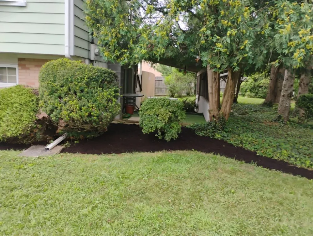 Affordable yard maintenance in Allentown, PA by Promised Land Landscape