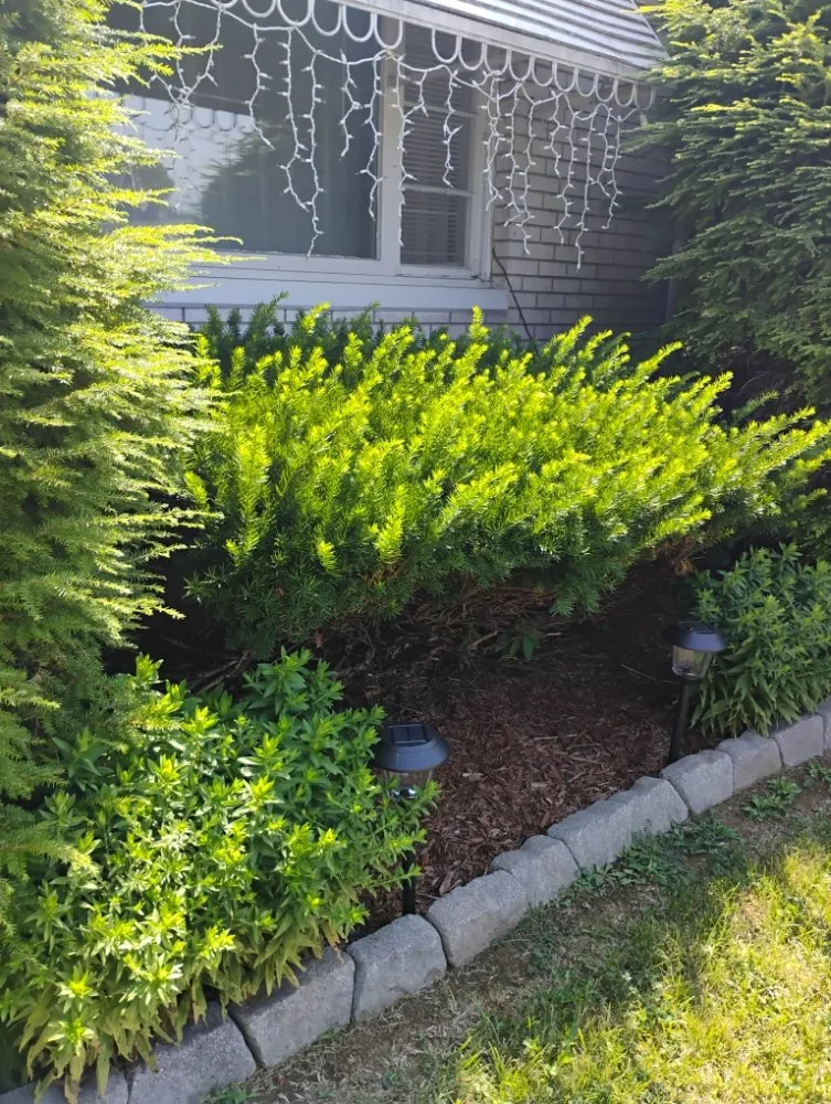 Reliable yard maintenance in Allentown, PA - Promised Land Landscape