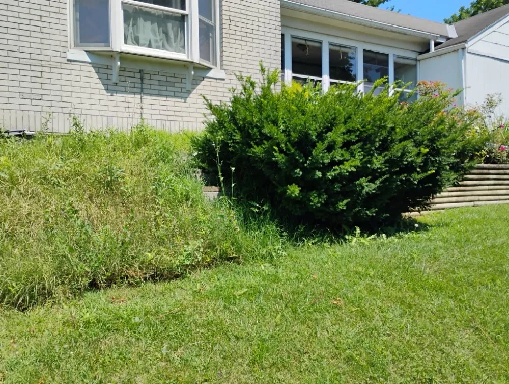 Professional yard cleanup service for residential properties across Allentown, PA - Promised Land Landscape