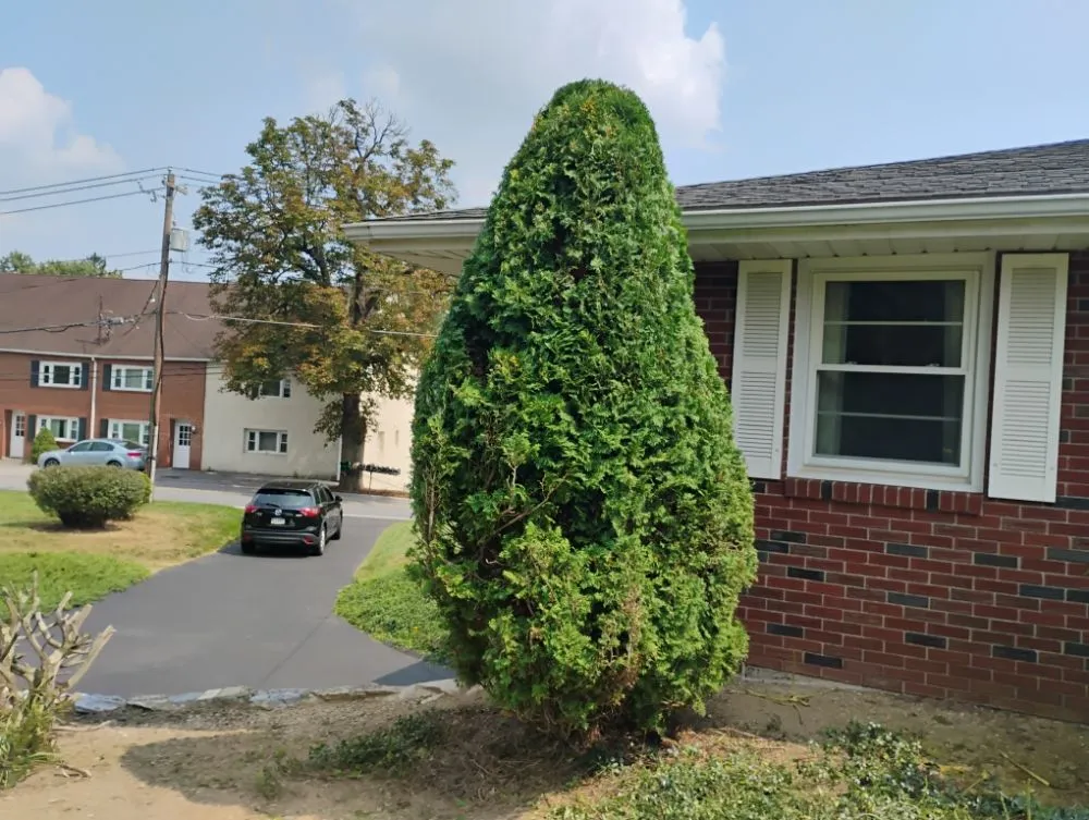 Professional lawn care service in Allentown, PA - Promised Land Landscape