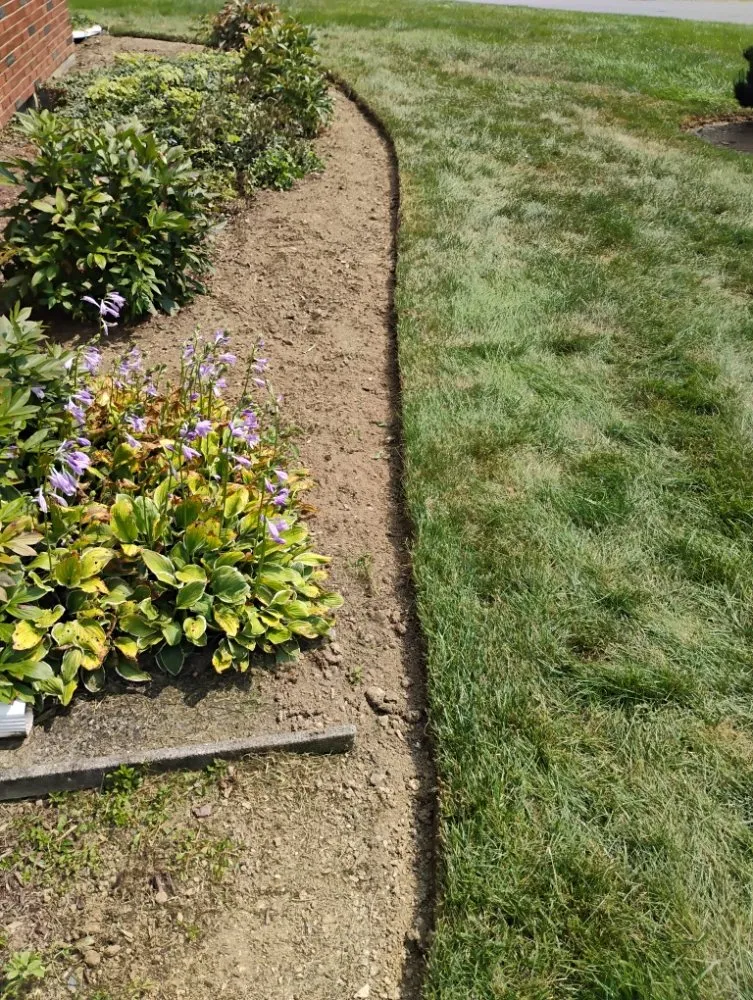 Affordable outdoor landscaping in Allentown, PA - Promised Land Landscape