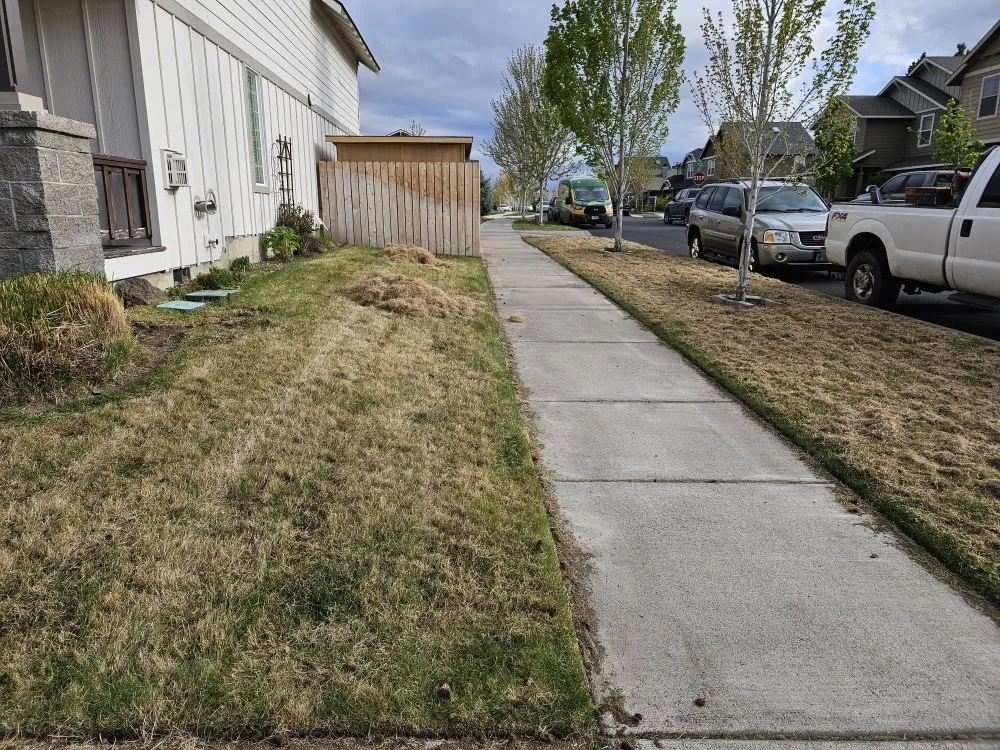 Professional yard cleanup service for beautiful yards across Bend, OR - Promised Land Landscape Maintenance