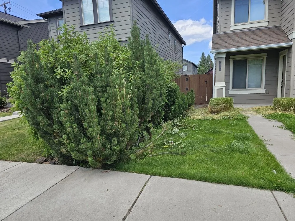 Reliable yard cleanup service experts serving Bend, OR - Promised Land Landscape Maintenance