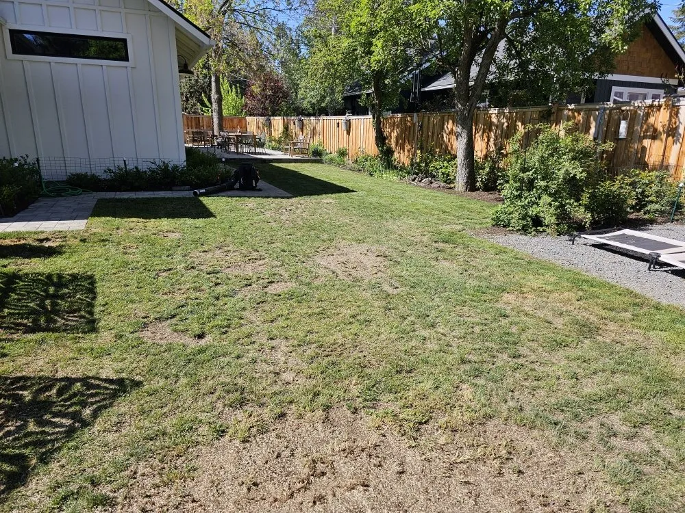Top-rated yard cleanup service in Bend, OR - Promised Land Landscape Maintenance