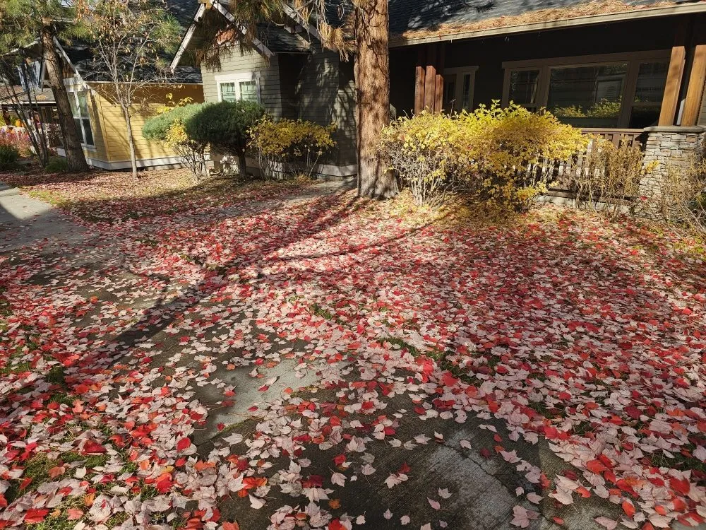 Trusted lawn mowing service in Bend, OR by Promised Land Landscape Maintenance