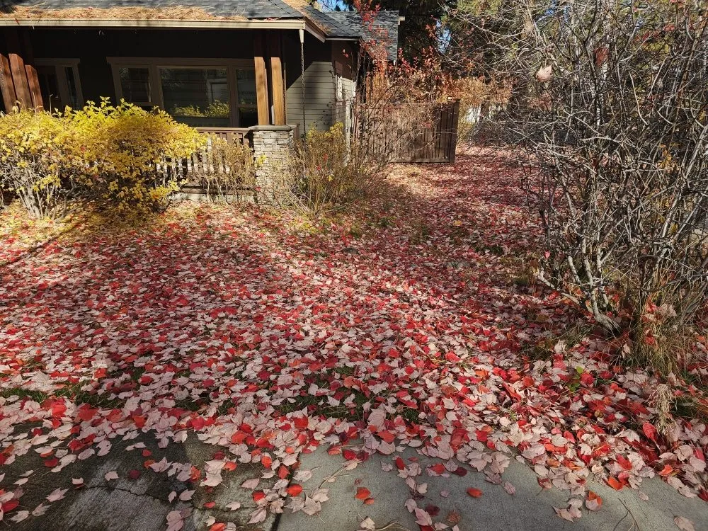 Custom landscape installation for residential properties in Bend, OR by Promised Land Landscape Maintenance