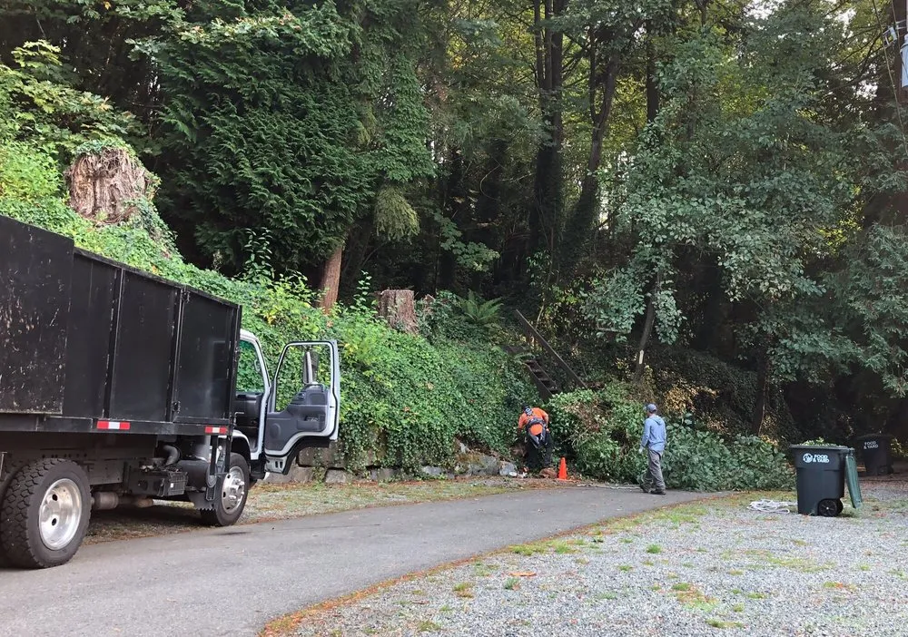 Trusted landscaping services for beautiful yards in Federal Way, WA by Promised Landscaping