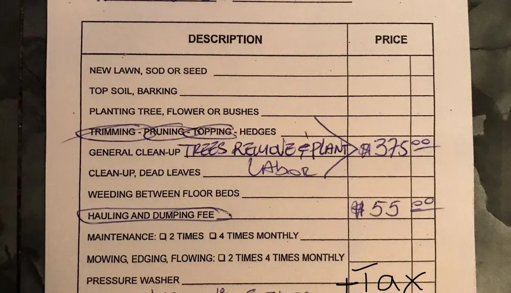 Professional residential landscaping in Federal Way, WA by Promised Landscaping